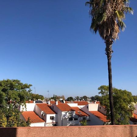 Familia Anfitriona Acoge Terraza Διαμέρισμα Σεβίλλη Εξωτερικό φωτογραφία