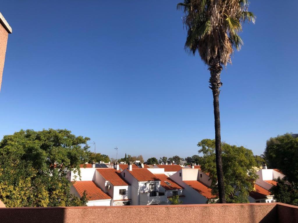 Familia Anfitriona Acoge Terraza Διαμέρισμα Σεβίλλη Εξωτερικό φωτογραφία